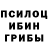 Псилоцибиновые грибы мухоморы Dimon Go