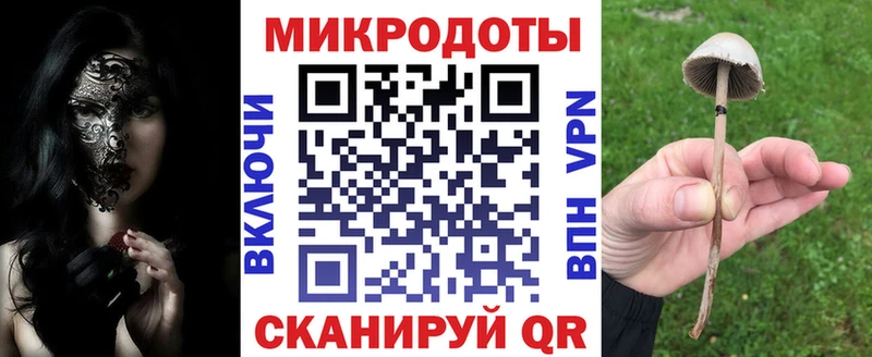 Галлюциногенные грибы Psilocybe  Купить  Фрязино 